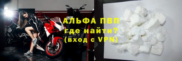 крисы Алзамай