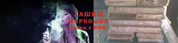 крисы Алзамай