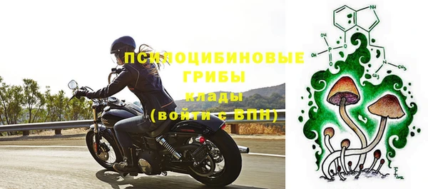 амф Алексин