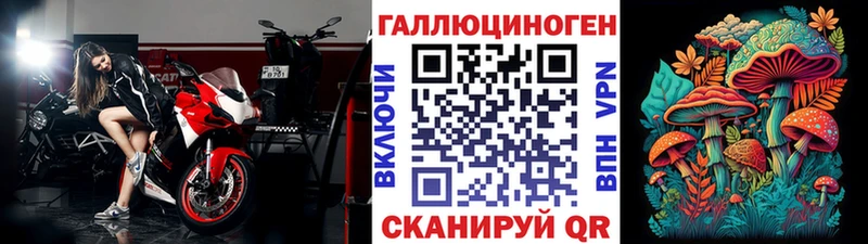 KRAKEN ССЫЛКА Тосно Псилоцибиновые грибы Psilocybe где найти